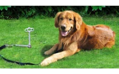 Peggy Peg Anleinehalterung PetPeg Für Tiere