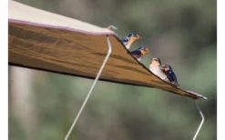 Gordigear Dachzelt Für 2 Personen Mit Staufläche 140 X 240 Cm Grün -Abenteuer Zelt Verkauf 737312 4968290