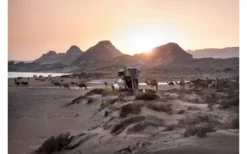 Gordigear Dachzelt Für 2 Personen Mit Staufläche 140 X 240 Cm Grün -Abenteuer Zelt Verkauf 737321 4968308