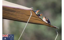 Gordigear Dachzelt 140 Plus Für 2 Personen Mit Vorzelt 140 X 320 Cm Grün 13 Gordigear Dachzelt 140 Plus Für 2 Personen Mit Vorzelt 140 X 320 Cm Grün -Abenteuer Zelt Verkauf 737393 4968680